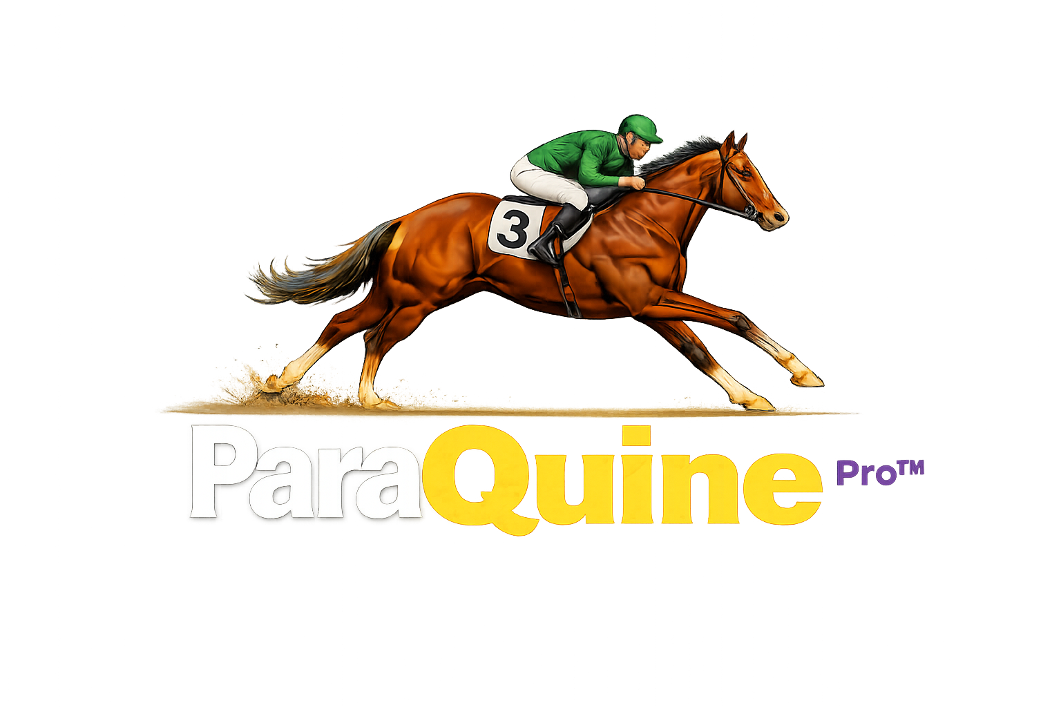 ParaQuine Logo